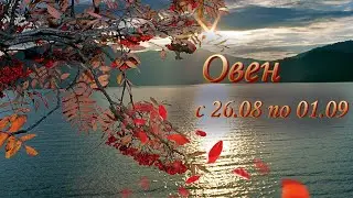 Овен Таро прогноз на неделю с 26.08 по 01.09.2024 года.