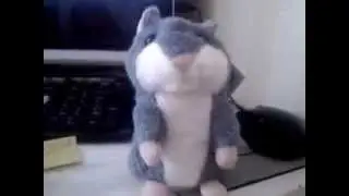 Хомяк поздравляет C днем рождения