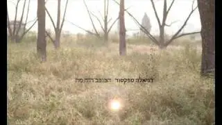 דניאלה ספקטור - הכוכב הזה מת