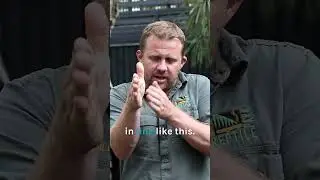 Vet Pulls Out Croc's Teeth! 😱 