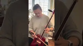 Ardiin Ayalguu