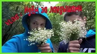 VLOG: Идём за ландышами