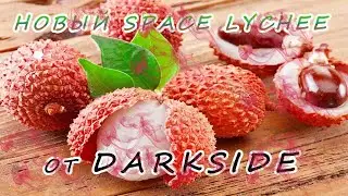 Обновленный SPACE LYCHEE от DARKSIDE!