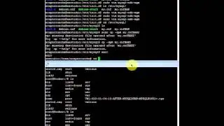 Edición del archivo de configuración my cnf