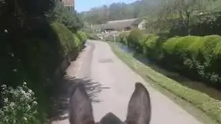 A morning hack through Teffont Evias