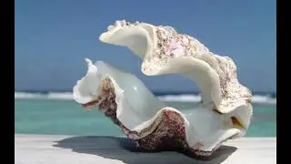 Меня Он любит и знает