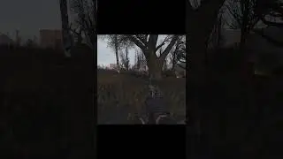 A little help please? | STALKER 