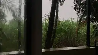 Расслабляющий дождь - 4 часа звуки дождя для сна