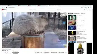 Speedcore tutorial Making a speedcore in 1 minute