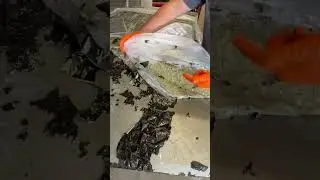 These are INSANE Results!