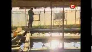 Фермер Сосо из проэкта 