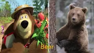 Masha And The Bear Characters In Real Life | All Characters 2019