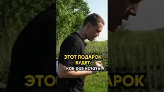Этот подарок будет как раз кстати! @IgorMedov