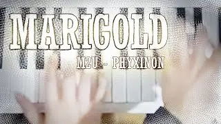 Phyxinon - Marigold (Top View)