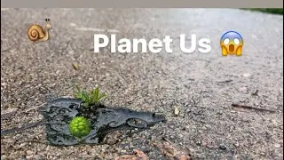Day In The Life / ARTiST Vlog / Planet Us / Nature