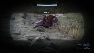 Nature is Beautiful in Halo Infinite