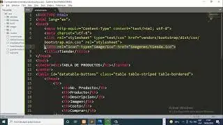 Colocar icono a pestaña en HTML video 2