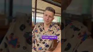 Почему сложно признаться что ты трейдер 📈