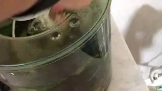 Adding some gifts to RCS nano tank