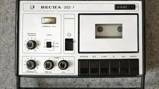 Весна 202 в ней есть зеленые км  конденсаторы шок.