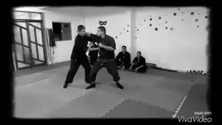 Koyoko - Jin Ryaku No Maki