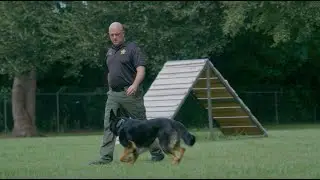 Axon Presents: SafeJourneys | Episode 2 - Sgt Jeremie Nix