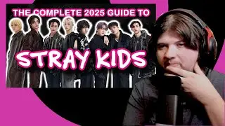 Stray Kids 2025 Guide REACTION