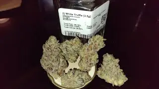 White Truffle Strain Review