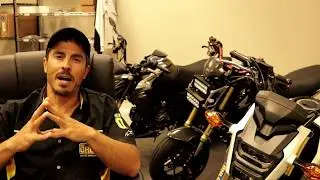 Smoky Mountain Crawl - What is it, What to expect, What to Bring & more. 
