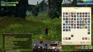 ArcheAge Заточка с Талисманом