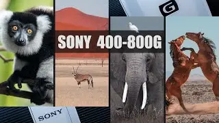 炸裂！索尼400-800遠征非洲｜半年高強度使用心得【4K HDR】
