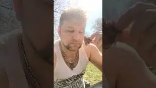 Ведопрогулка