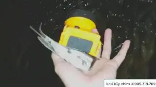 Đi bẫy chim kiếm mồi nhậu ngày mưa gió