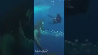WHY DO ORCAS NOT ATTACK PEOPLE IN THEIR NATURAL HABIT, BUT THEY DO SO IN CAPTIVITY?