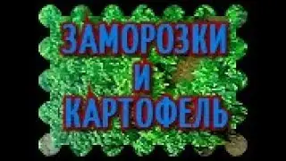 ВОССТАНОВЛЕНИЯ КАРТОФЕЛЯ ПОСЛЕ СИЛЬНЫХ ЗАМОРОЗКОВ# ВОССТАНОВЛЕНИЯ РОСТА КУСТОВ КАРТОФЕЛЯ# ЧАСТЬ 2