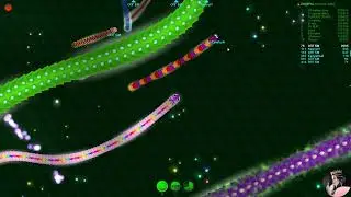 WORMAX.IO -  STREAM  -  ОПГ БМ