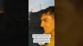 şırnakta askerler ormanları yakıyorlar