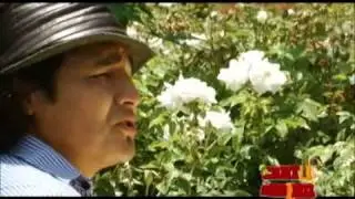 AYLLUS PERU - LA MALA SUERTE QUE ERES CASADA