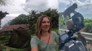 Monkeys steal my camera