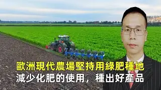 歐洲現代農場堅持用綠肥種地，減少化肥的使用，種出好產品