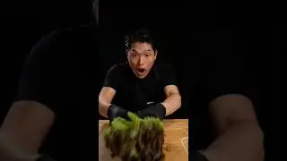 Bayashi food tik tok
