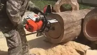 Колода для пчел
