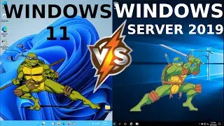 Windows 11 vs Windows Server 2019: RAM + CPU Usage