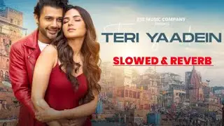 Teri Yaadein Song {Slowed Reverb} Stebin Ben & Jasmin Bhasin | Lofi+Lyrics  | Love Songs 2023