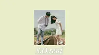 ARO / S.O.SENI ( текст в описании )