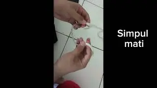 5 simpul