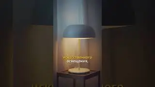 Это нужно делать каждое утро 