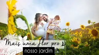 Ensaio gestante flores campo de girassóis, ideias fotos grávida Mar de Espanha MG (Juiz de Fora)