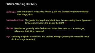 Types and Factors Affecting Flexibility