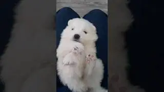 CUTE BABY🤩